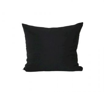 Indoor/Outdoor Sunbrella Canvas Raven Black - 20x20 Throw Pillow