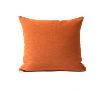 Indoor/Outdoor Sunbrella Essential Spark - 20x20 Throw Pillow