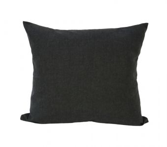 Indoor/Outdoor Sunbrella Spectrum Carbon - 22x22 Throw Pillow