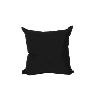Indoor/Outdoor Sunbrella Canvas Black - 24x24 Throw Pillow